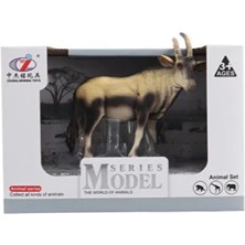 Sinerjim Kutulu Model Antilop