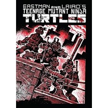 Marmara Çizgi Ninja Kaplumbağalar Cilt 1 + Iyi Geceler Punpun + Berserk 10 + 33 Kitap