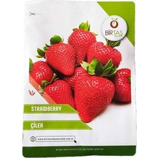 Wishora Store Çilek Tohumu Paket