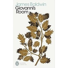 Penguin Classics Giovanni's Room + LEGO Brick Erasers