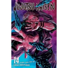 Viz Media Jujutsu Kaisen, Vol. 14 + A Tale Of Two Cities + Icebreaker: 1 + 24 Kitap