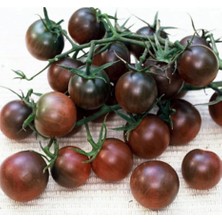 Wishora Store Adet Çikolata Kiraz Domates Tohumu