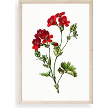 Sinems World Çiçekler Ahşap Çerçeveli Tablo