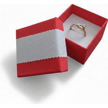 Ta-Fu Global 2 Adet Takı ve Aksesuar  Kutusu (UZUNLUK=210MM/EN=40MM/YÜKSEKLIK=30MM/DERINLIK=20MM)