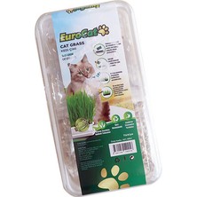 Ozlstor Eurocat Kedi Çimi