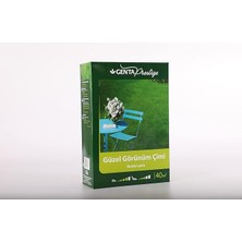 Wishora Store Prestige Güzel Görünüm Çim Tohumu 1 kg