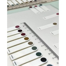 Wishora Store Gemi Dükkan 10 Renkli Cetvelli Şeffaf Indeks/ındex Sticker/post-It/sticky Note Yuvarlak Kenar Retro Renkler