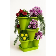 Wishora Store Katlı Şanslı Yonca Tasarımlı Dekoratif Saksı Seti, 26.5 x 26.5 Cm, Çiçek ve Bitki Sebze Yetiştirme, Bahçe Salon Mutfak Saksı Seti (Yeşil)