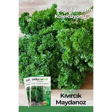Wishora Store Botanik 2500 Adet Frenk/kıvırcık Maydanoz Tohumu