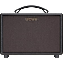 Wishora Store AC-22LX Akustik Gitar Amfisi