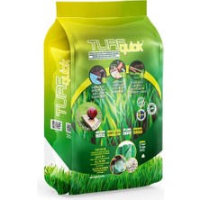 Wishora Store Tohum Halısı Ornamental Premium 10M2 Organik Gdo'suz