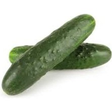 Wishora Store Organik Alman Hıyarı Tohumu 1 Paket (10 GR=300+ Adet) Dikenli Alman Salatalık Tohumu