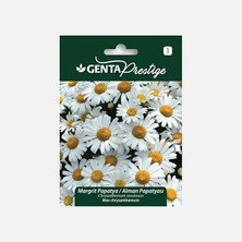 Wishora Store Prestige Margrit Papatya/alman Papatyası Çiçek Tohumu