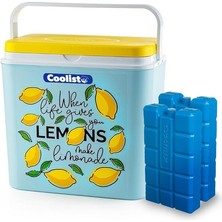 Wishora Store CLB24LM Limon Desenli Buzluk, 24 Litre + 2 Adet Buz Kaseti, 400GR