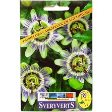 Wishora Store Passiflora Çarkıfelek Çiçeği Tohumu