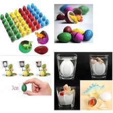Wishora Store 4 Adet Islanınca Çatlayıp Büyüyen Dinazor Yumurtası Oyuncak Dinozor Yumurtası