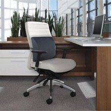 Wishora Store Ortopedik Ofis Koltuk Sandalye Bel Destek Yastık Minderi Sırt Dayama Yastığı