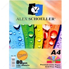 Wishora Store Schoeller A.FTK.KGT.450.01 A4 100'LÜ Fotokopi Kağıdı Karışık Renkli - 779
