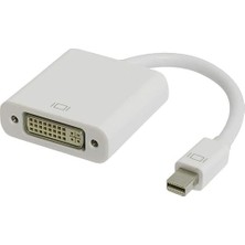 Wishora Store Displayport To DVI Çevirici Adaptör Kablosu