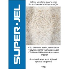 Wishora Store Süper Emici Polimer (1, 10 Gram)