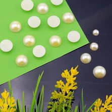 Wishora Store Yarım Inci Boncuk Krem 100'LÜ Paket 6 mm LYDMNM415