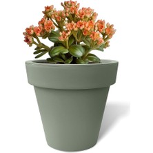 Wishora Store Fulya Saksı Drenajlı Dekoratif Mat Plastik Çiçek Saksısı (Bej Tabaksız, 3.1 Litre)