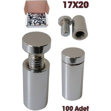 Ahtapot Tabela Vidası 17X20 (100 Adet)