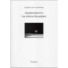 Norgunk Yayıncılık Ateşböceklerinin Var Kalma Mücadelesi + Süper Çengel Bulmaca 10 + Cam Kenarından Istanbul Suriçi + 28 Kitap