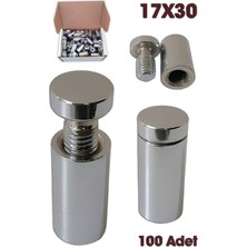 Ahtapot Tabela Vidası 17X30 (100 Adet)