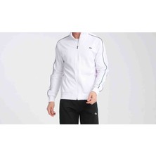 Lacoste Basic Büyük Beden Renkli Eşofman Takımı