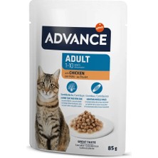 Ozlstor Advance Cat Adult Chicken Wet Pouch 85 gr x 6 Adet