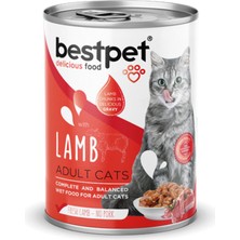 Ozlstor Bestpet 400 gr x 12 Adet  Yetişkin Kediler Için, Taze Kuzu Parça Etli ve Soslu Yaş Mama