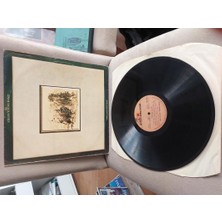 Plakperest The Stills-Young Band ‎– Long May You Run - 1977 Türkiye Basım 33 Lük Albüm Lp Plak