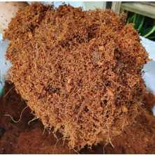 Usplant Kokopit Cocopeat | Hindistan Cevizi Torfu 4-5kg (60-65 Litre)