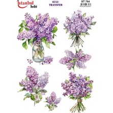 Hayal Sanat Istanbul Hobi Sulu Transfer ST764 (25X35)