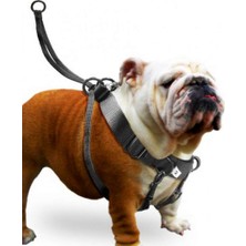 Karlie Ozlstor Karlıe Easy Walker Göğüs Tasma 52*84 cm Xlarge