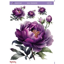 Hayal Sanat Lineart Sulu Transfer LNT124