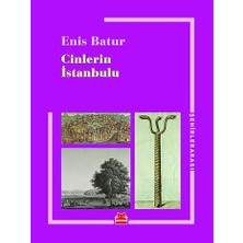 Kırmızı Kedi Cinlerin Istanbulu + Insan Figürü Çizimi + Blue Focus Tangram 67 Parça + 3 Kitap