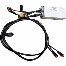 Ape Ryder Jambo Elektrikli Bisikle Orijinal Beyin