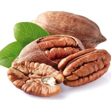 Taşkar Peyzaj Pikan Cevizfidanı Aşılı (Açık Köklü -70 Cm)