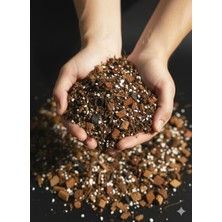 Minik Orman Botanik Yeşil Gövdeler - Aroid Bitkiler Için Özel Toprak Karışımı