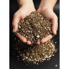 Minik Orman Botanik Sihirli Toprak - Genel Kullanım Için Özel Toprak Karışımı