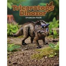 Craftivio Triceratops Dinozor Oyuncak Figür - Orta Boy Eğitici Hayvan Figürü (20 Cm)