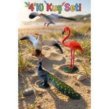 Craftivio 4'lü Gerçekçi Kuş Figür Seti - Flamingo, Tavus Kuşu, Martı - Eğitici Hayvanlar Alemi Oyuncak