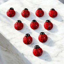 TELEVİ Uğur Böceği Dekoratif Süs – 25 Adet