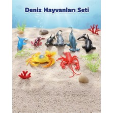 Craftivio Eğitici Deniz Hayvanları Figür Oyuncak Seti - Köpekbalığı Balina Yengeç Okyanus Canlıları (9 Parça)