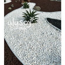 Ulusoy Botanik Dolomit Taş - Dekoratif Beyaz Taş - Bahçe Dekor / Bahçe Peyzaj / Saksı Teraryum Akvaryum Taşı / 1-2 cm / 20kg