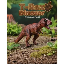 Craftivio Gerçekçi T-Rex Dinozor Figürü - Orta Boy Detaylı Eğitici Oyuncak Tyrannosaurus Rex (20 Cm)