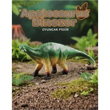 Craftivio Apatosaurus Dinozor Oyuncak Figür - Orta Boy Eğitici Hayvan Figürü (20 Cm)