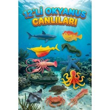 Craftivio 2'li Okyanus Deniz Canlıları Figür Seti Mini Boy / Eğitici Hayvan Oyuncakları / Banyo Oyuncakları